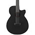 AEG1221-BOT Black Out 12 Strings Ibanez