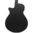 AEG1221-BOT Black Out 12 Strings Ibanez