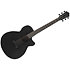 AEG621-BOT Black Out 6 Strings Ibanez