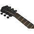 AEG621-BOT Black Out 6 Strings Ibanez