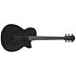 AEG621-BOT Black Out 6 Strings Ibanez