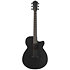 AEG621-BOT Black Out 6 Strings Ibanez