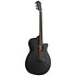 AEG621-BOT Black Out 6 Strings Ibanez