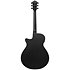 AEG621-BOT Black Out 6 Strings Ibanez