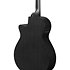 AEG621-BOT Black Out 6 Strings Ibanez