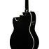 TCY10PA-BKB Talman Transparent Brown Black Burst High Gloss Ibanez