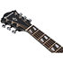 AE170-TBK Transparent Black High Gloss Ibanez