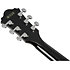 AE170-TBK Transparent Black High Gloss Ibanez