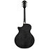 AE170-TBK Transparent Black High Gloss Ibanez