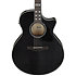 AE170-TBK Transparent Black High Gloss Ibanez