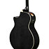 AE170-TBK Transparent Black High Gloss Ibanez