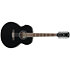 AJ7012M1E-BK Black High Gloss Ibanez