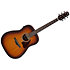 AAD54E-OMH Open Pore Mahogany Sunburst Ibanez