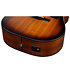 AAD54E-OMH Open Pore Mahogany Sunburst Ibanez