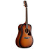 AAD54E-OMH Open Pore Mahogany Sunburst Ibanez