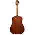 AAD54E-OMH Open Pore Mahogany Sunburst Ibanez
