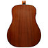 AAD54E-OMH Open Pore Mahogany Sunburst Ibanez