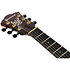 ASH300 TBC Ibanez