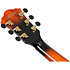 ASH300 TBC Ibanez