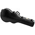 ASH300 TBC Ibanez