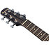 EWP16EWB-GAO EWP Galaxy Aqua Open Pore Ibanez