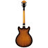 AS7328 TBC Ibanez