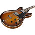 AS7328 TBC Ibanez
