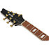 IC420FM-TBG Transparent Blue Gradation + Housse Ibanez