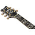 AR625FMSP CML Ibanez