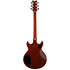 AR625FMSP CML Ibanez