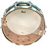 STS1455SC-851 Session Studio Select Emerald Ash 14" x 5,5" Pearl