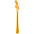 American Professional Classic Stratocaster Neck Maple Fender