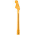 American Professional Classic Jaguar Neck RW Fender