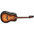 1718-1-G Pro Elite Sunburst Ovation