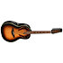 1758-1-G Pro Elite 12 Cordes Ovation