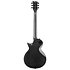 EC-1000 Fishman Granite Sparkle LTD