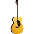 000-10E Retro + housse Martin Guitars