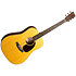 D-10E Retro + housse Martin Guitars