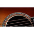 914e Gold Label SB Sunburst Taylor