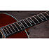 914e Gold Label SB Sunburst Taylor