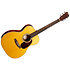 000-13E Retro Walnut + housse Martin Guitars