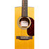 000-13E Retro Walnut + housse Martin Guitars