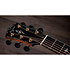 917e Gold Label Taylor
