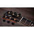 Gold Label 917e SB Sunburst Taylor
