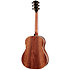 Gold Label 917e SB Sunburst Taylor
