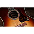 Gold Label 917e SB Sunburst Taylor
