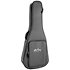 GPC-13E Modern + housse Martin Guitars