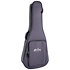 SC-10E Modern + housse Martin Guitars