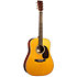 DE Retro Plus Granadillo + housse Martin Guitars
