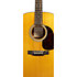 DE Retro Plus Granadillo + housse Martin Guitars